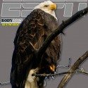 Body Issue