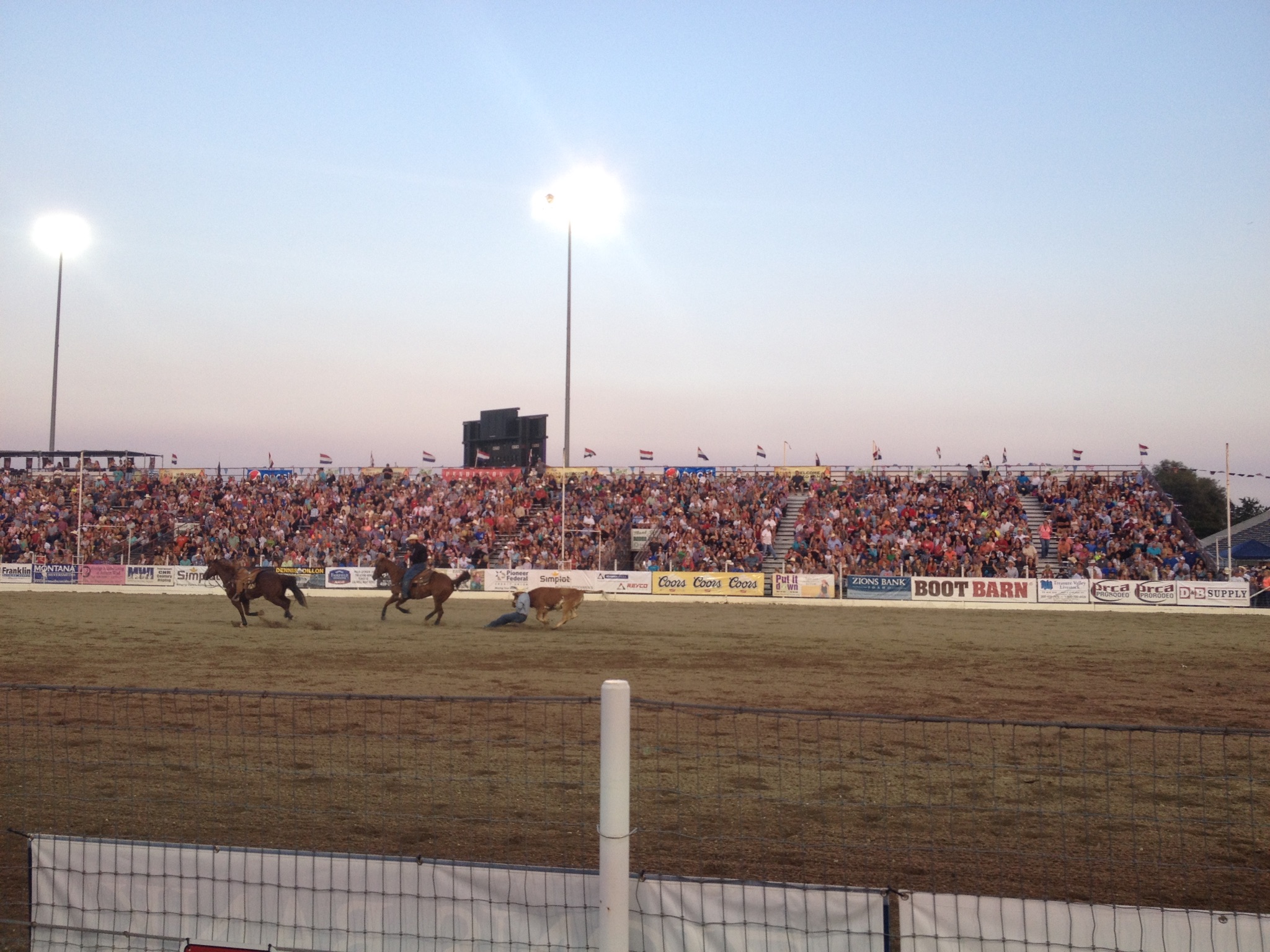 Rodeo2